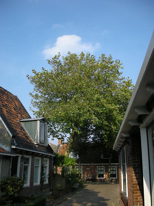 DSCN0320.JPG - Saapkes hoed nog steeds boven Ee??