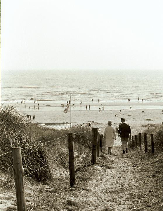 strand1.jpg