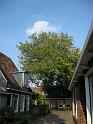 DSCN0320